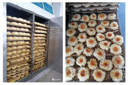 熱泵烘干銀耳項目 熱泵烘干銀耳項目