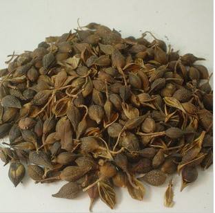 連翹熱泵烘干工藝揭秘,烘干廠家「工藝分享」 連翹熱泵烘干工藝揭秘,烘干廠家「工藝分享」