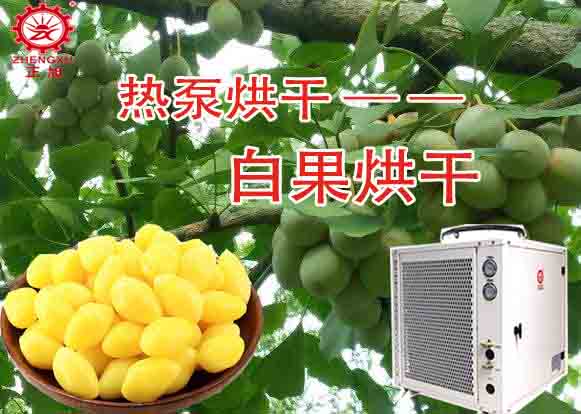 空氣能白果/銀杏果烘干工藝（烘干溫度）